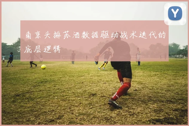 南京头排苏酒数据驱动战术迭代的底层逻辑