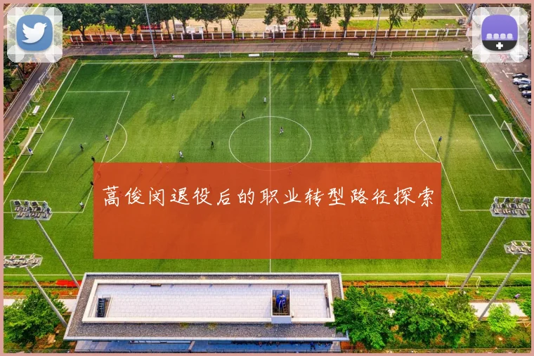 蒿俊闵退役后的职业转型路径探索