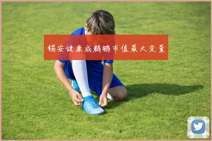 锡安健康成鹈鹕市值最大变量