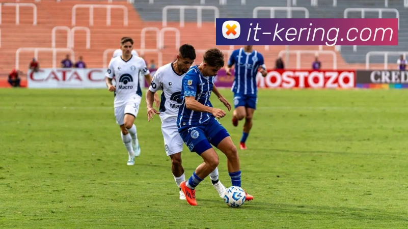 开云平台生态图